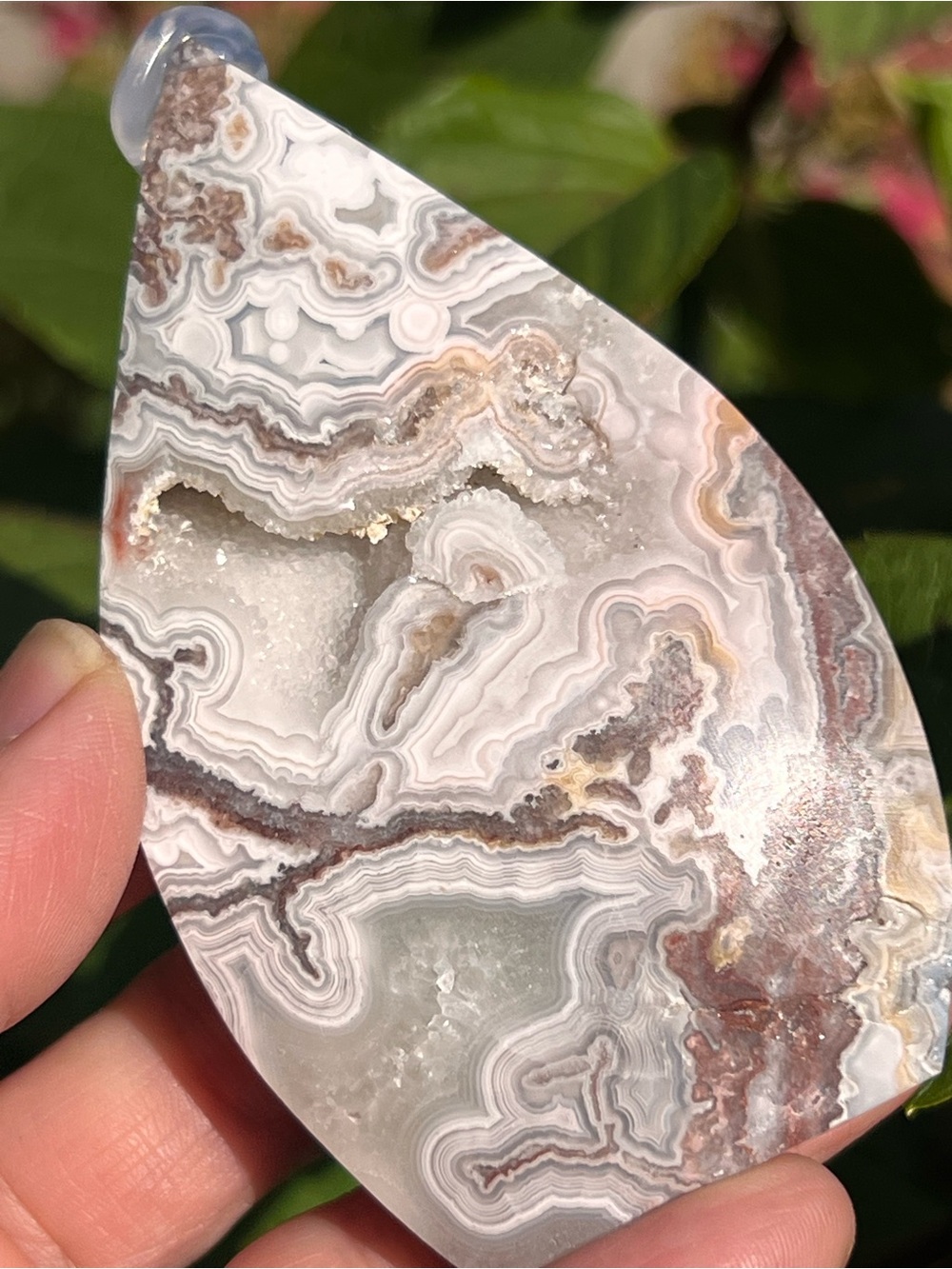 Mexican (4) lace agate teardrop | crystal